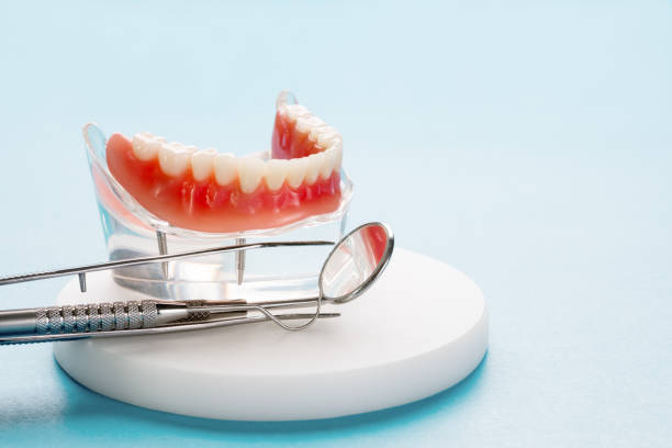 Trusted Tenafly, NJ  Holistic Dental Services Experts